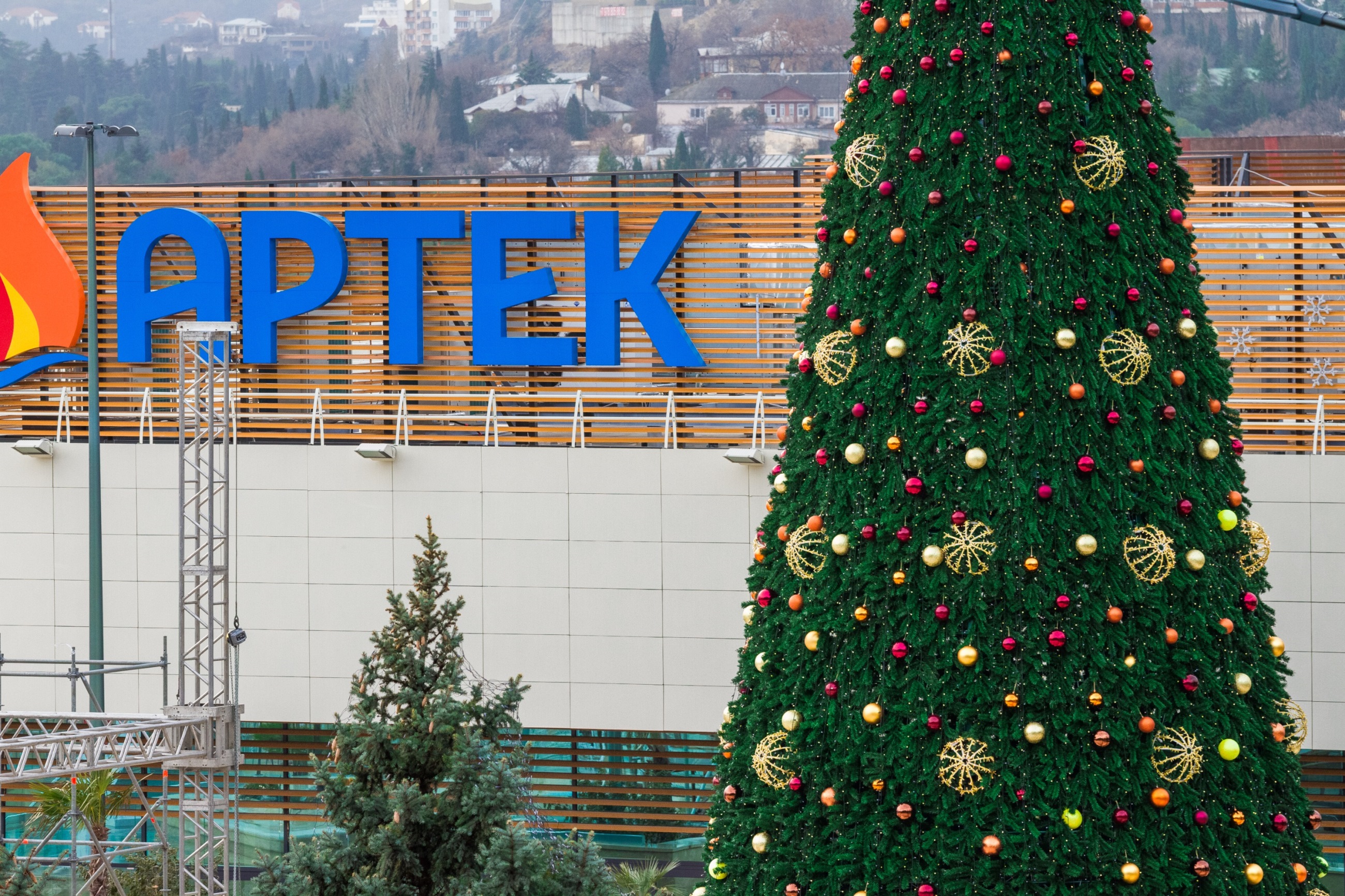 Проект елки. Елка в Артеке. Новогодняя елка в Артеке. Новый год в Артеке. Новогодняя сказка Артек.